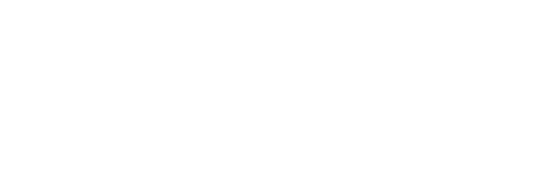 Selecta logo